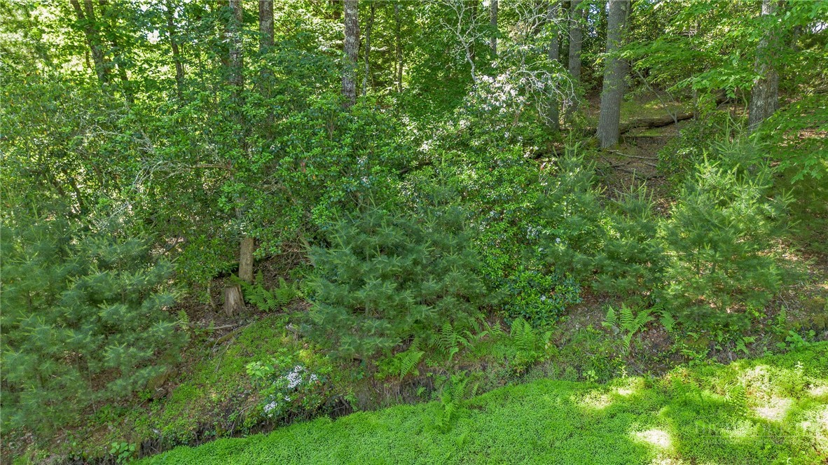 324 Hidden Spring Road Property Photo 43