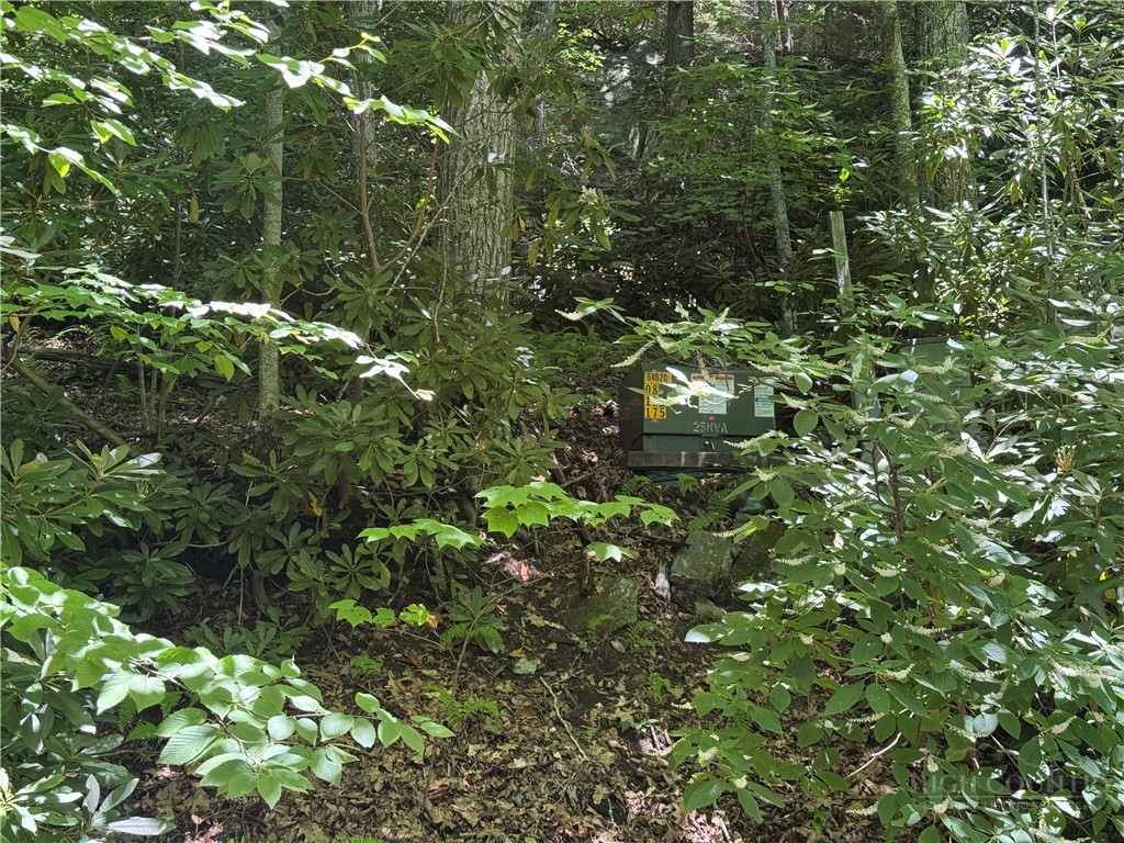 Tbd Cottonwood Property Photo 5