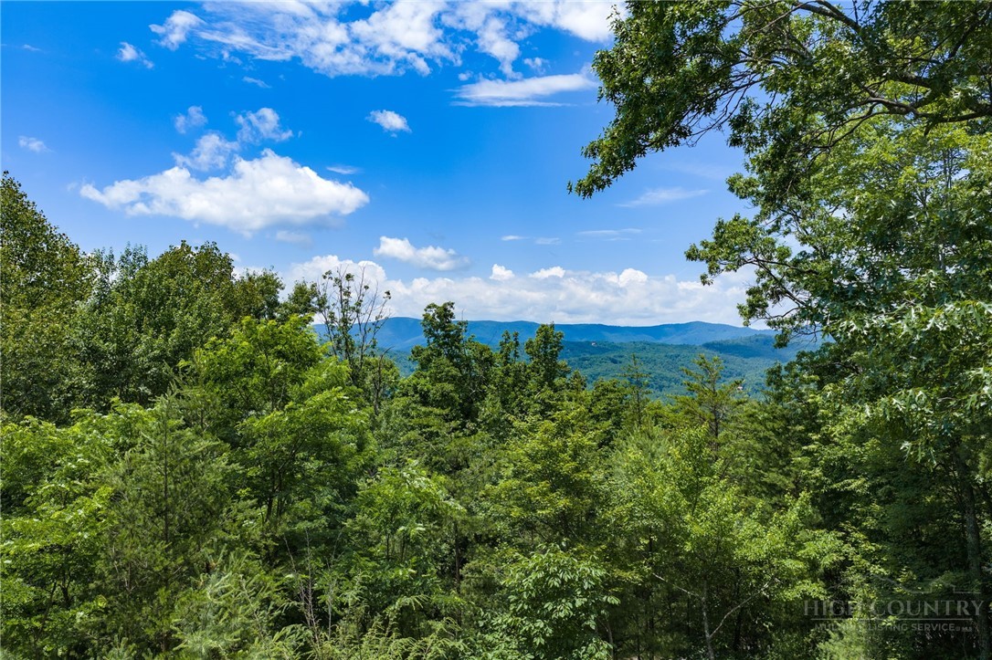 1987 Buck Mountain Road Property Photo 15