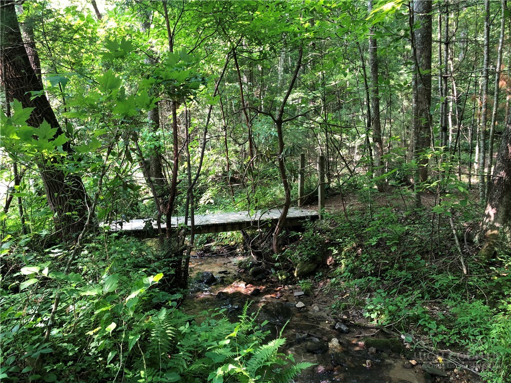 1987 Buck Mountain Road Property Photo 48
