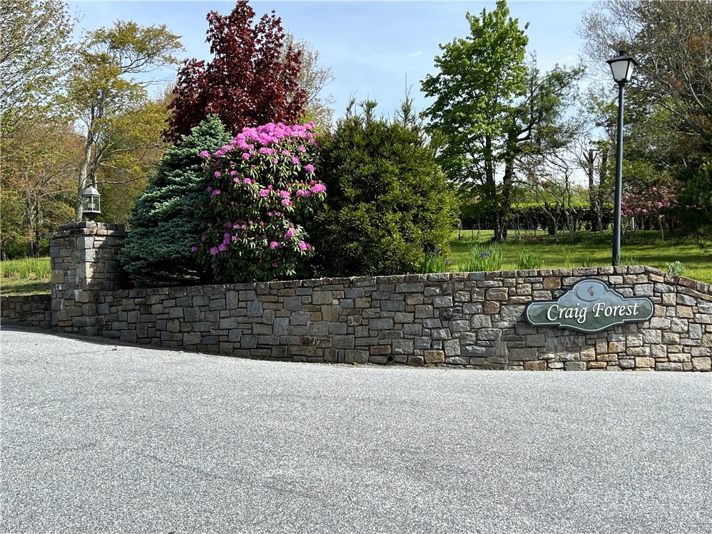Lot 1 Cora's Path Property Photo 1