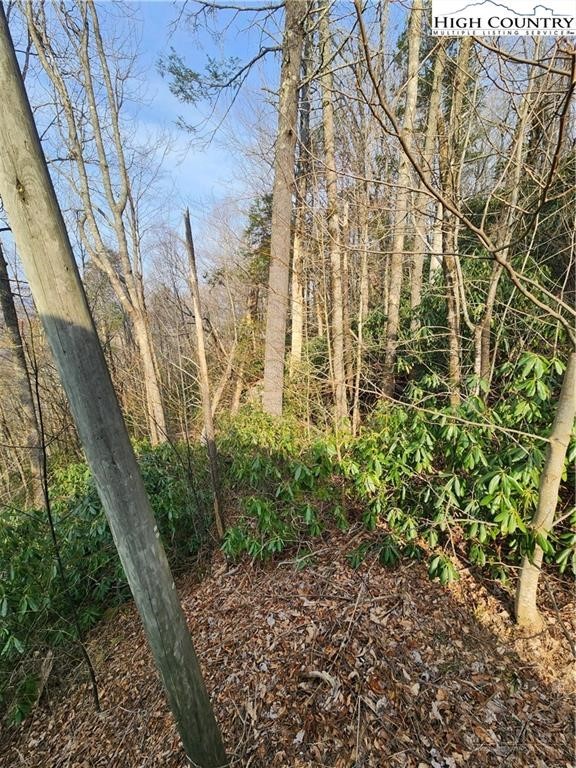 Tbd Poplar Ridge Road Property Photo 1