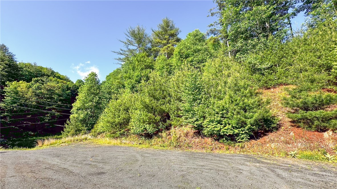 Tbd-13 Peck Peak Road Property Photo 1