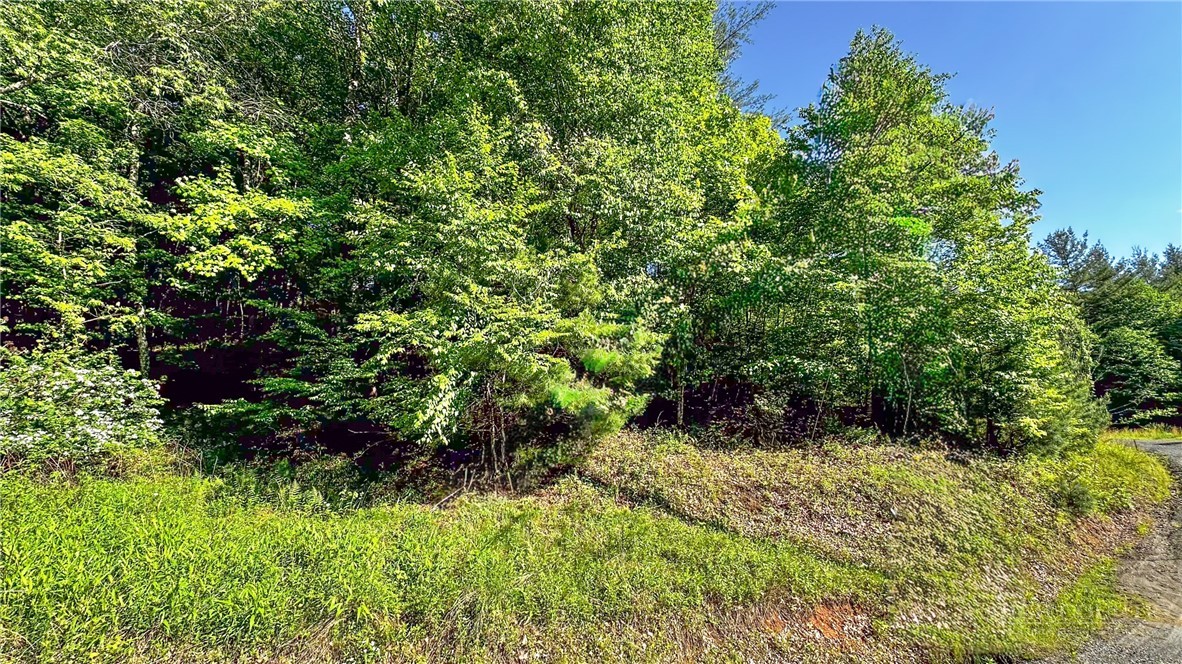Tbd-13 Peck Peak Road Property Photo 2