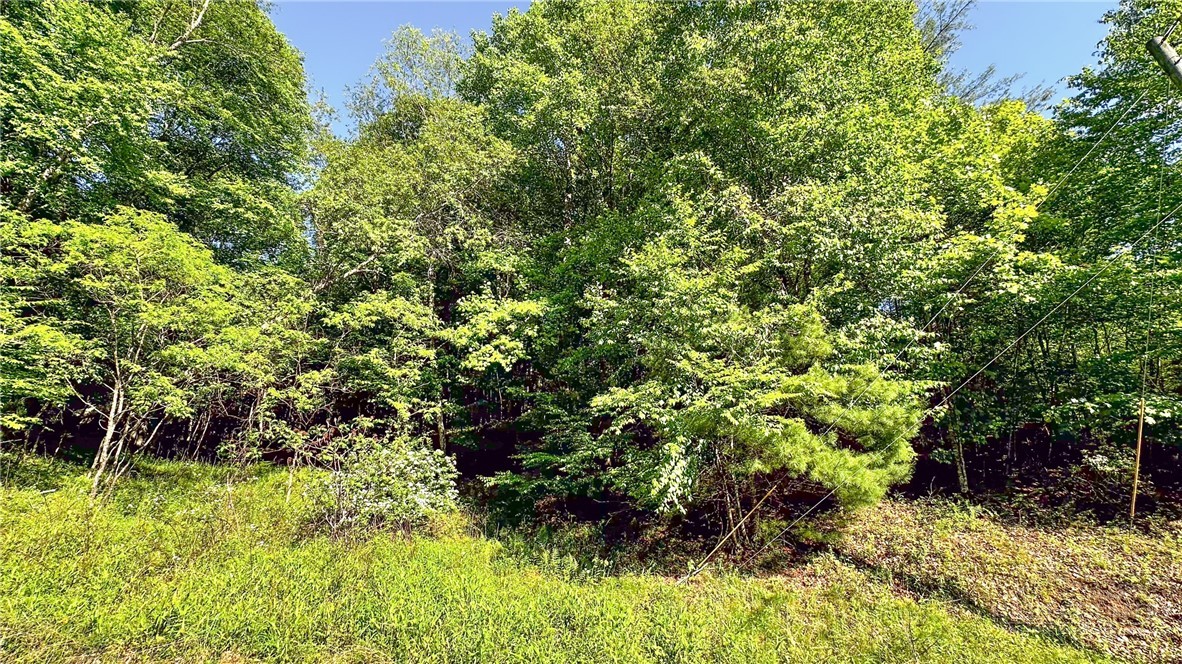 Tbd-13 Peck Peak Road Property Photo 4
