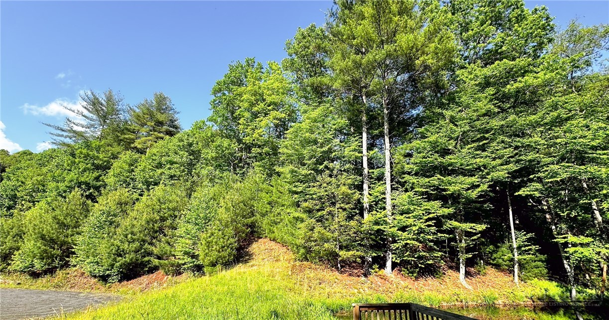 Tbd-13 Peck Peak Road Property Photo 8