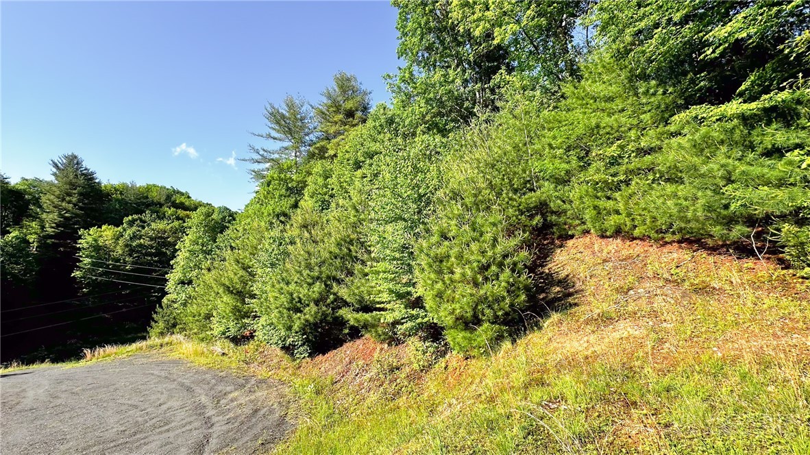 Tbd-13 Peck Peak Road Property Photo 9
