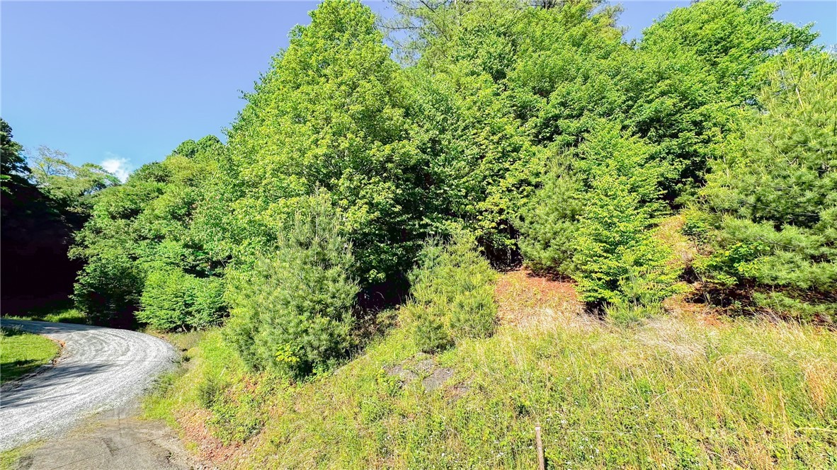 Tbd-13 Peck Peak Road Property Photo 10