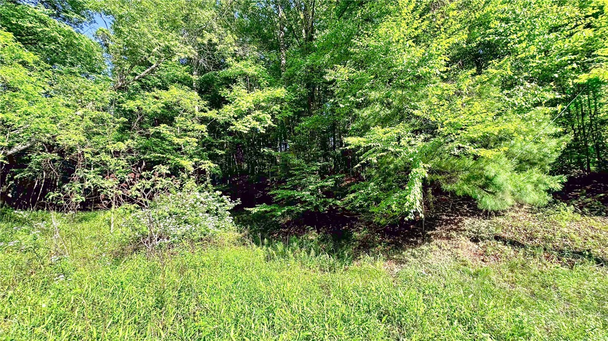 Tbd-13 Peck Peak Road Property Photo 11