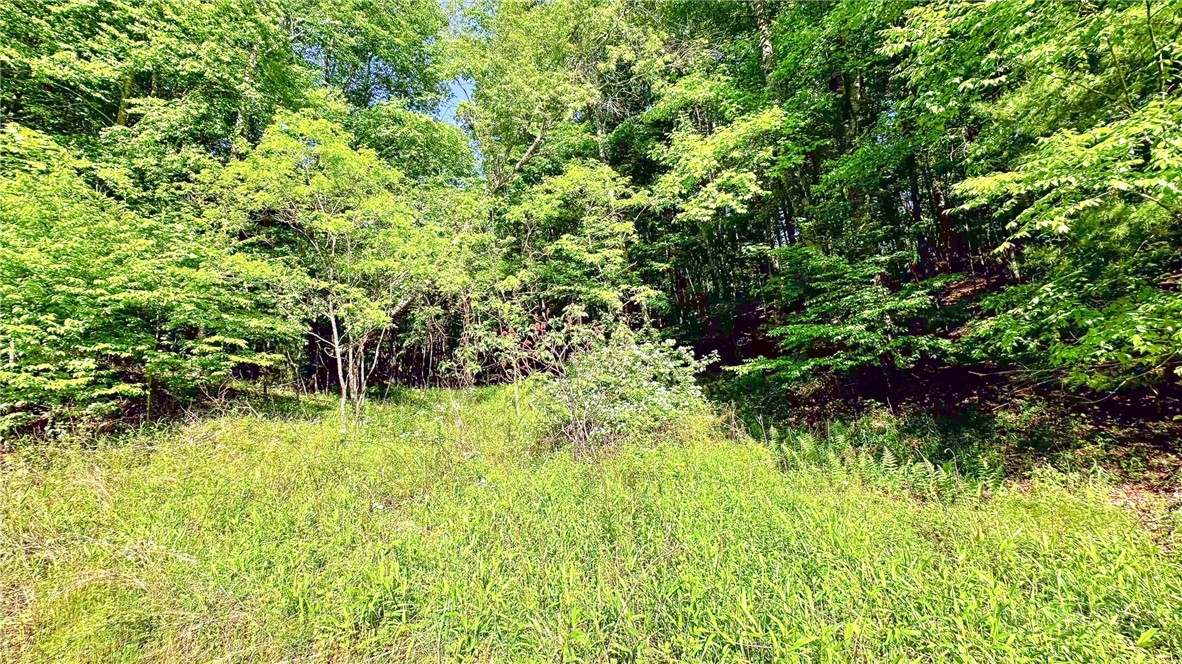 Tbd-13 Peck Peak Road Property Photo 12