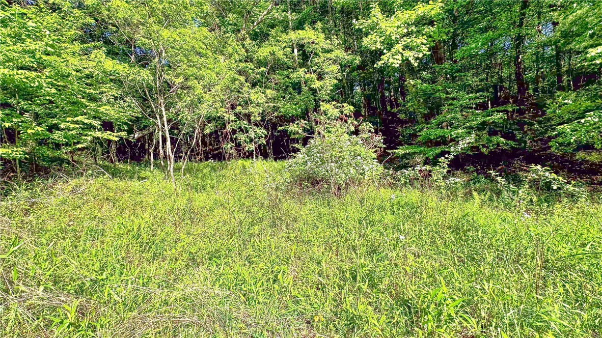 Tbd-13 Peck Peak Road Property Photo 13