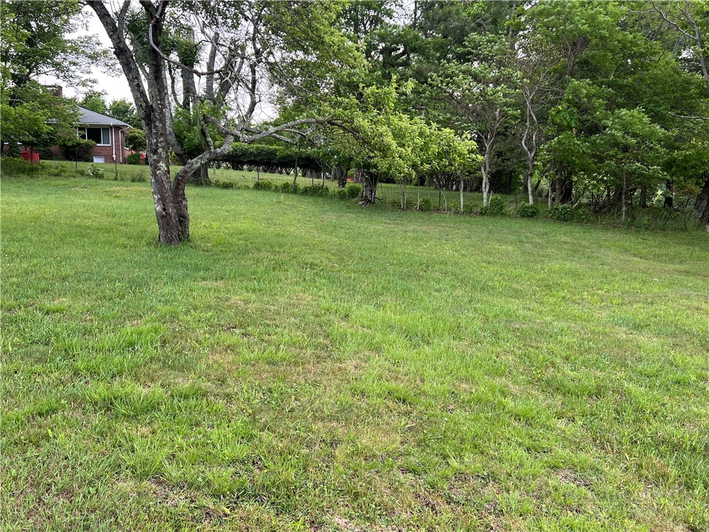 Lots 1, 3 & 5 Cora's Path Property Photo 6