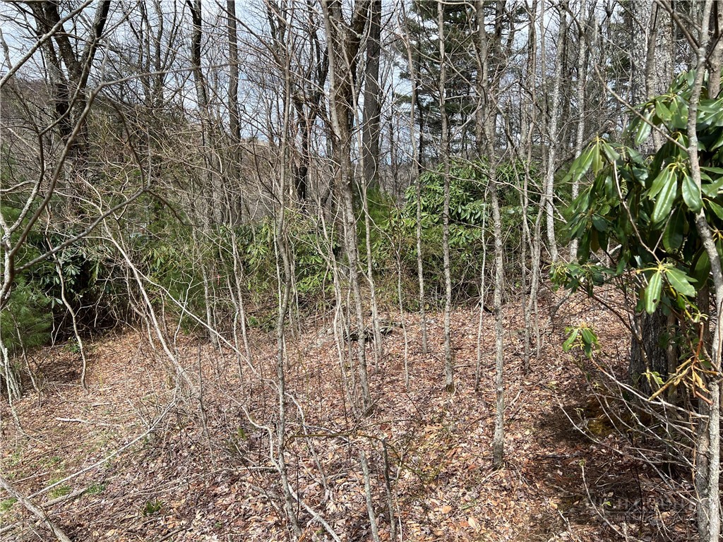 Lots 1, 3 & 5 Cora's Path Property Photo 8