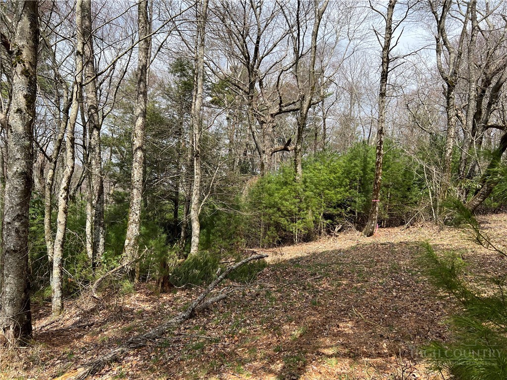 Lots 1, 3 & 5 Cora's Path Property Photo 9