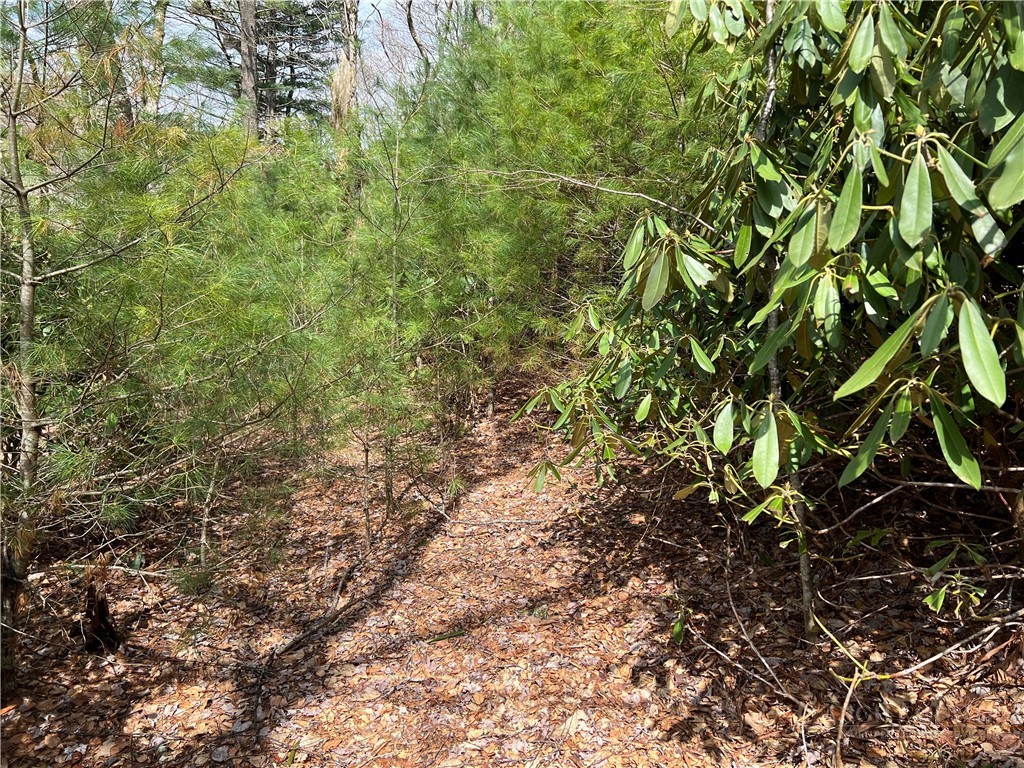 Lots 1, 3 & 5 Cora's Path Property Photo 11