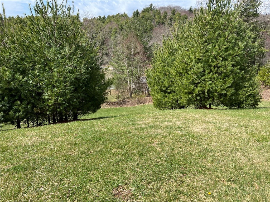 Lots 1, 3 & 5 Cora's Path Property Photo 12