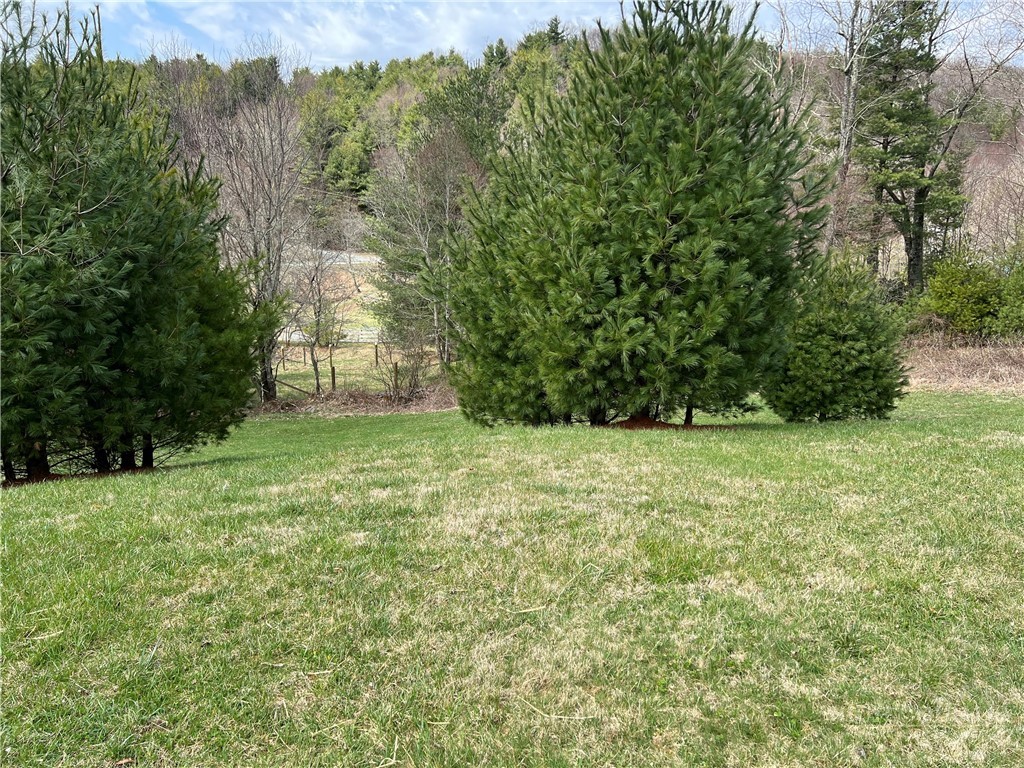 Lots 1, 3 & 5 Cora's Path Property Photo 13