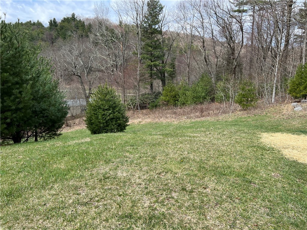 Lots 1, 3 & 5 Cora's Path Property Photo 14
