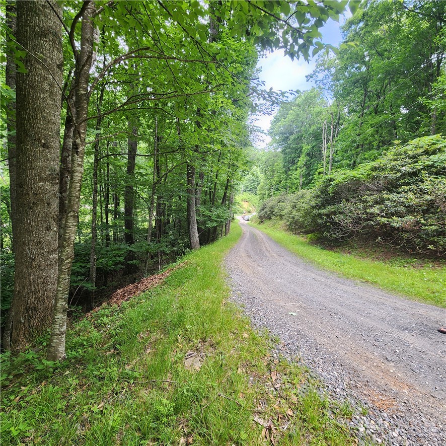 00 Ravens Roost Ridge Property Photo 2