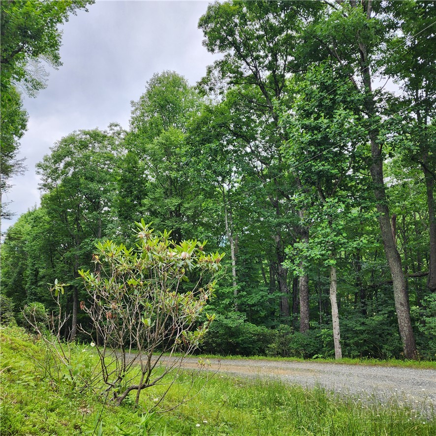 00 Ravens Roost Ridge Property Photo 3