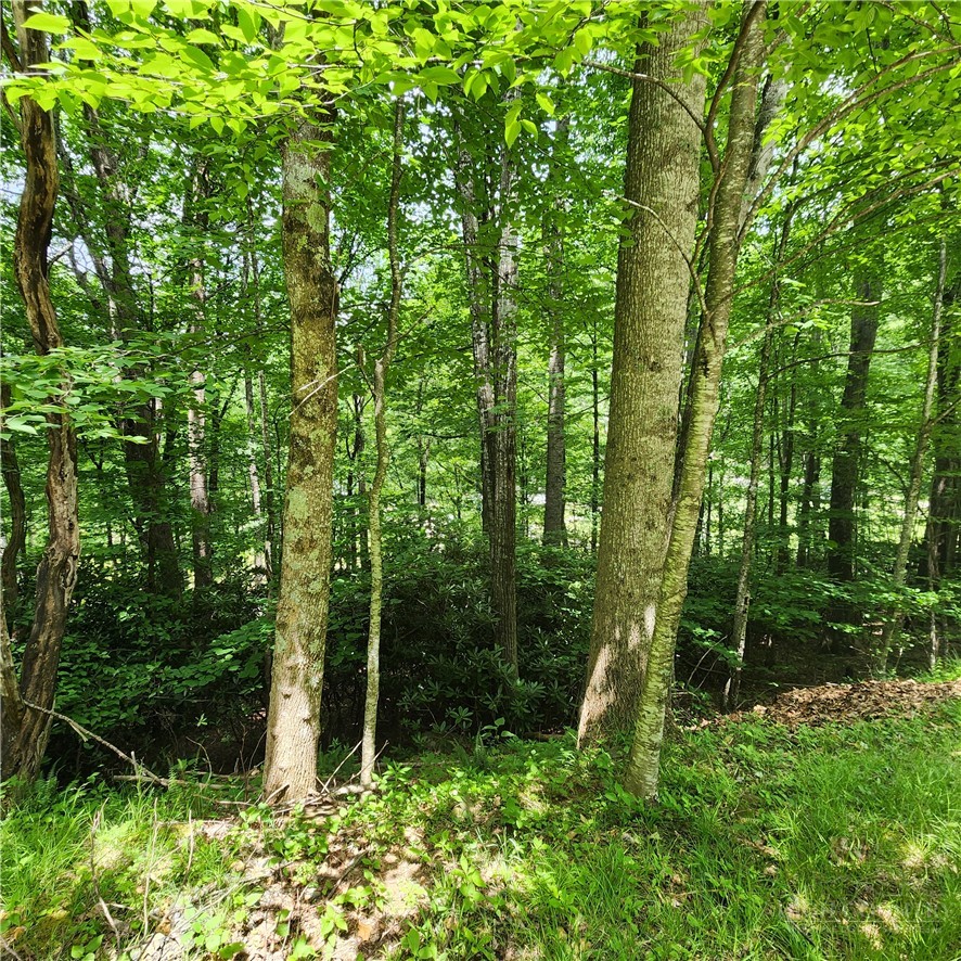 00 Ravens Roost Ridge Property Photo 4