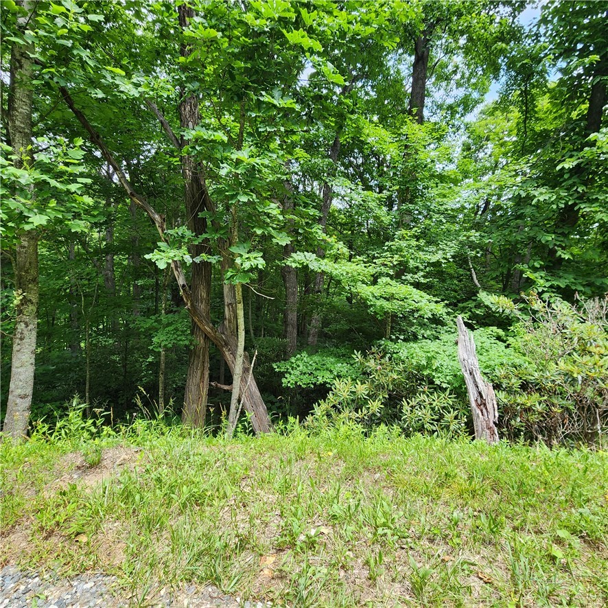 00 Ravens Roost Ridge Property Photo 5