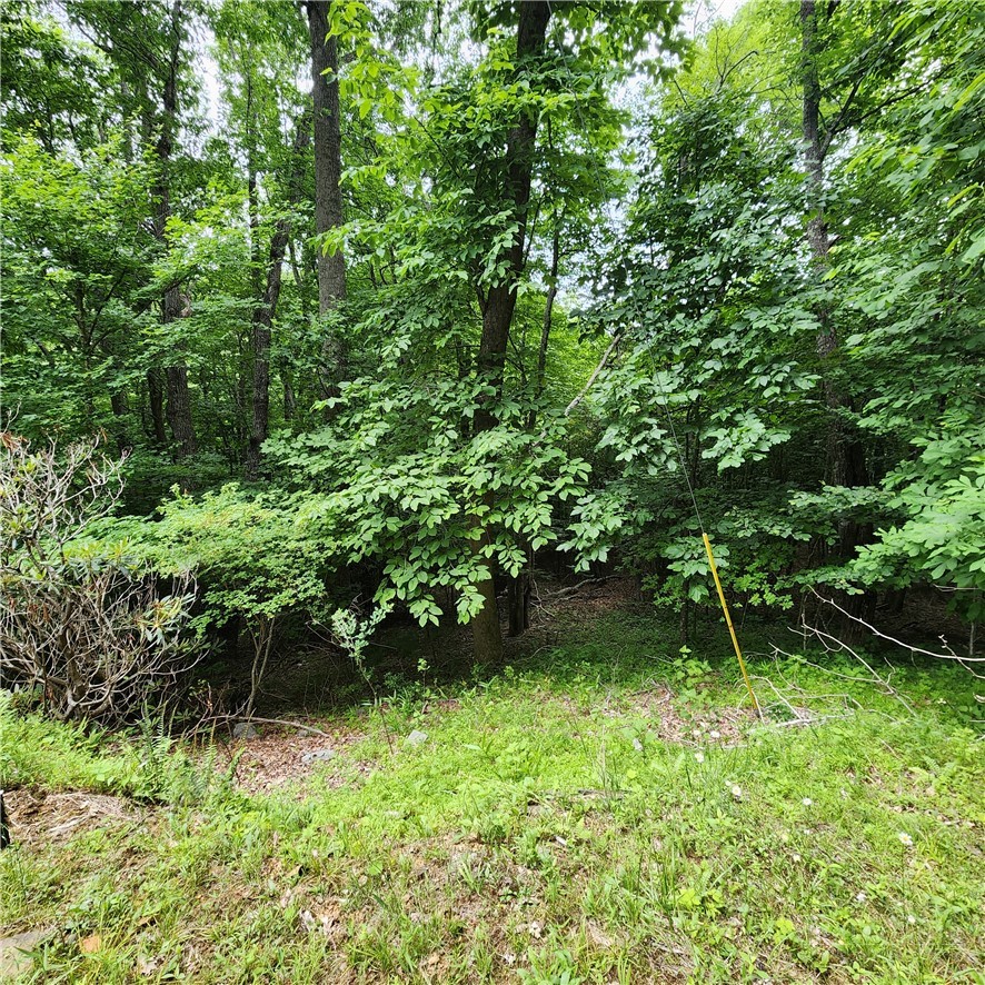 00 Ravens Roost Ridge Property Photo 6