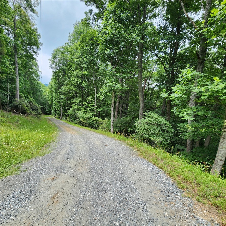00 Ravens Roost Ridge Property Photo 7