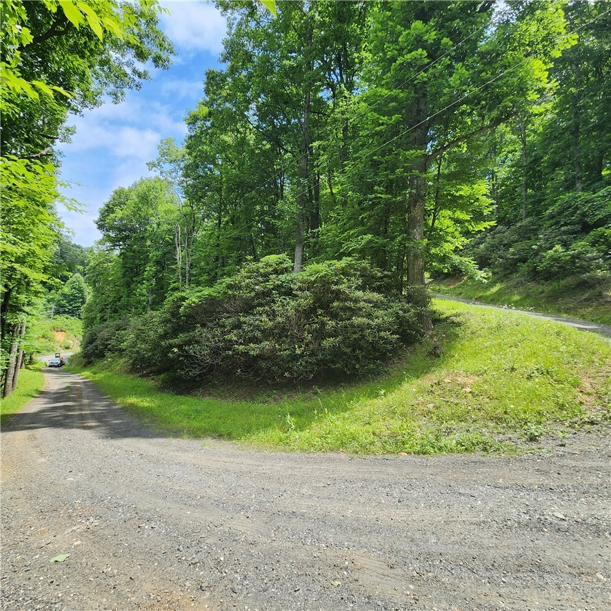 00 Ravens Roost Ridge Property Photo 8