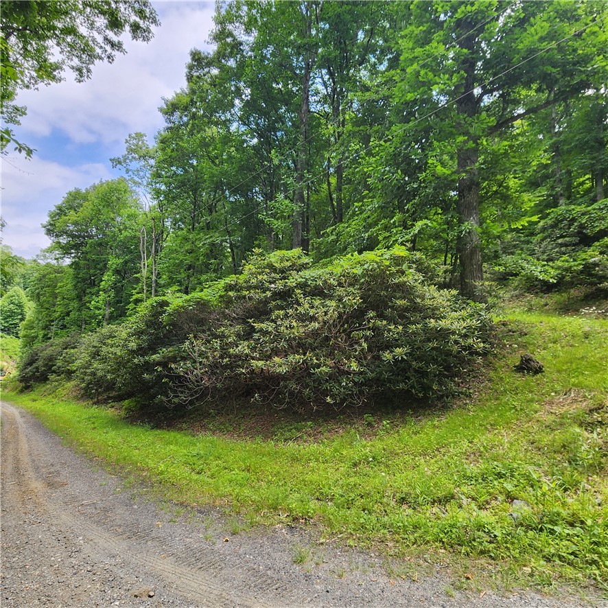 00 Ravens Roost Ridge Property Photo 9