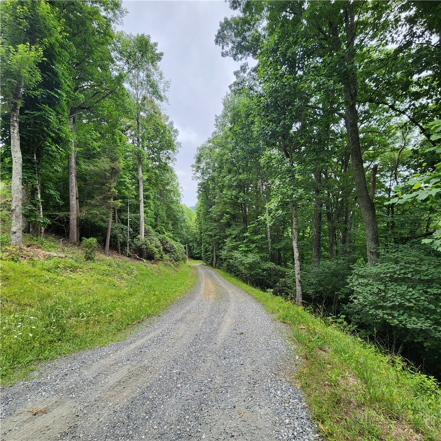 00 Ravens Roost Ridge Property Photo 10