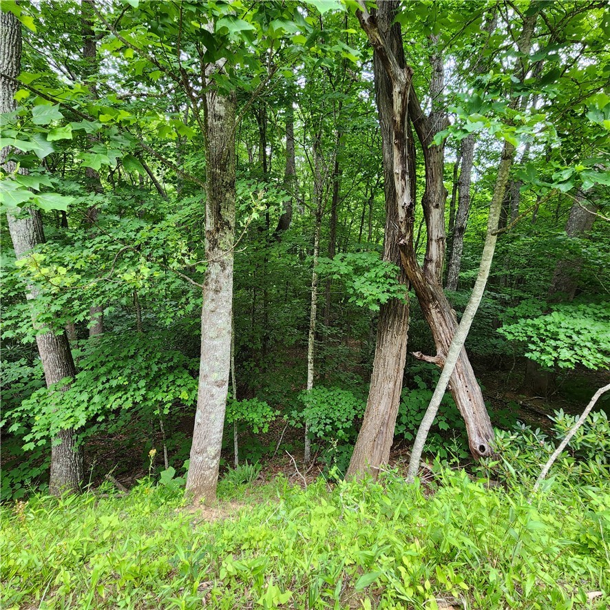 00 Ravens Roost Ridge Property Photo 11