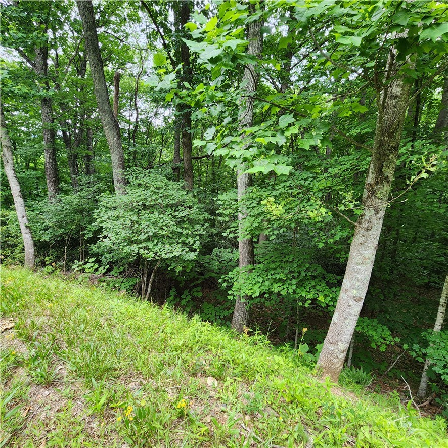 00 Ravens Roost Ridge Property Photo 12