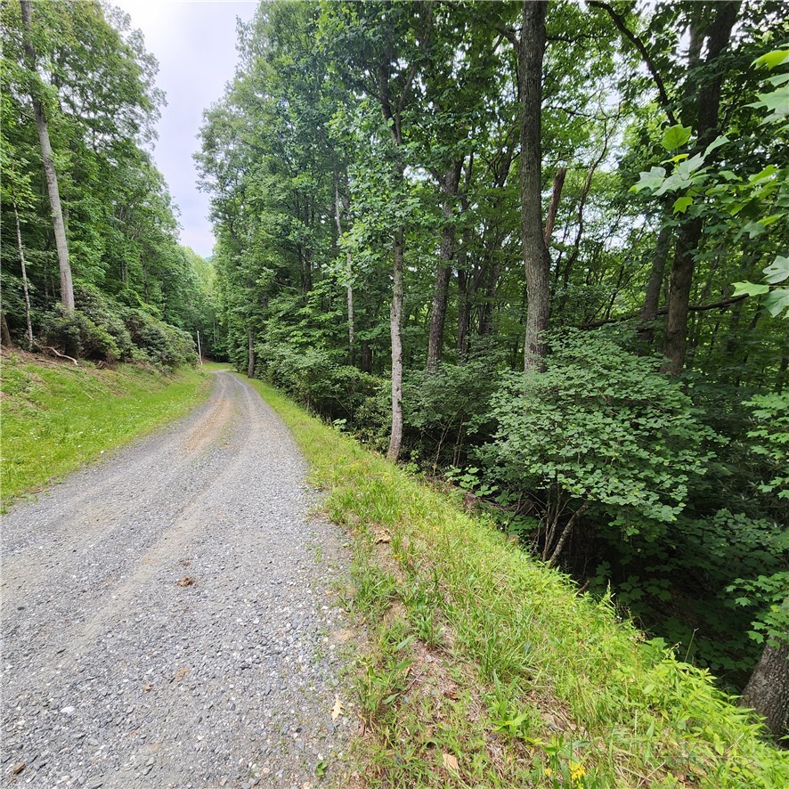 00 Ravens Roost Ridge Property Photo 13