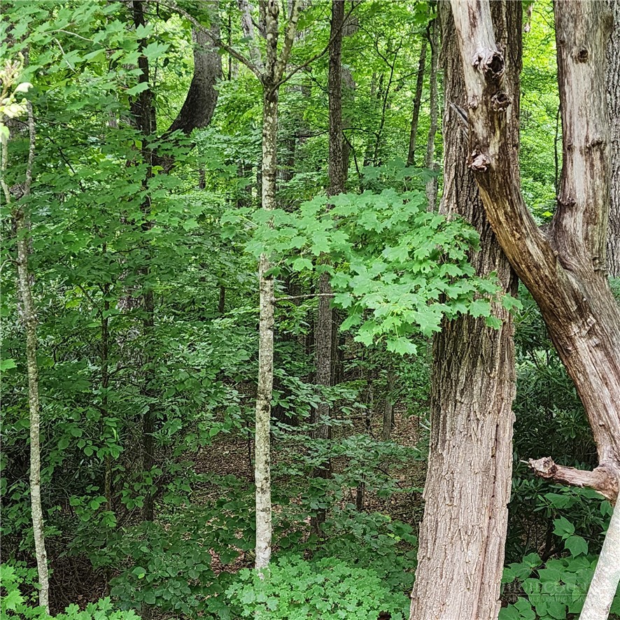 00 Ravens Roost Ridge Property Photo 14