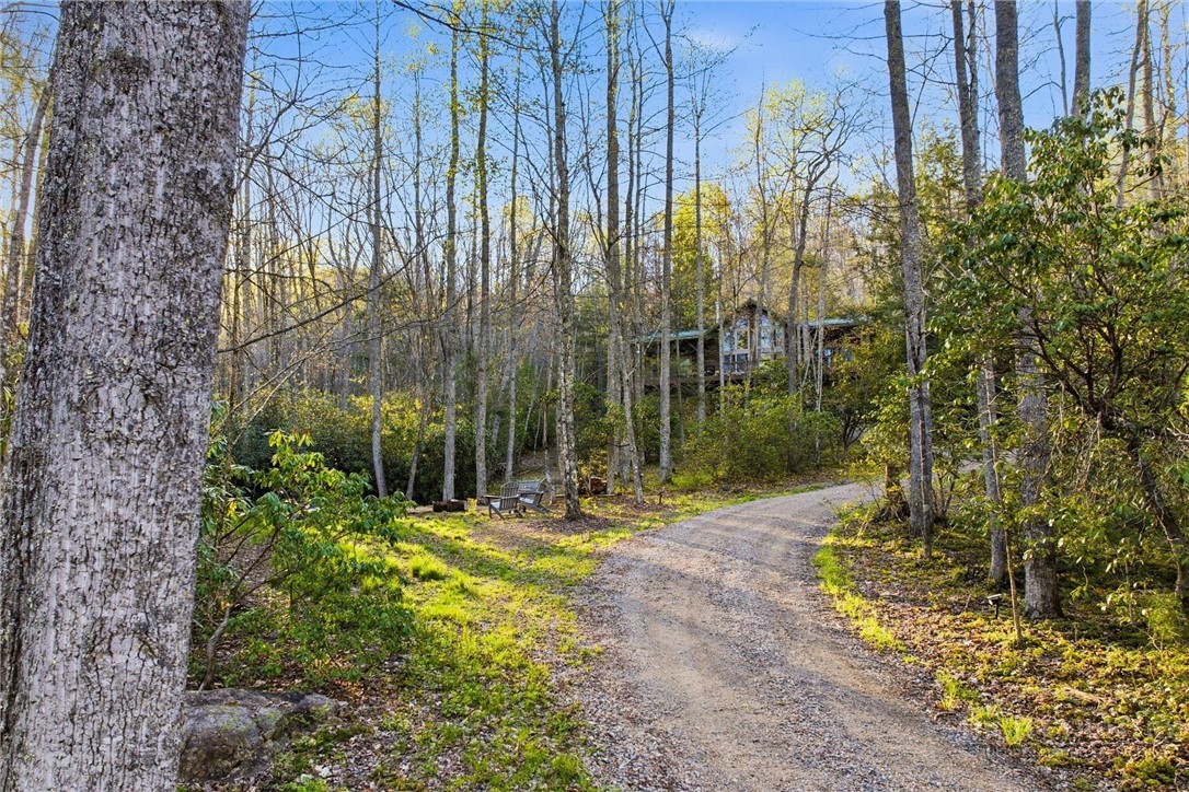 163 Bear Track Lane Property Photo 9