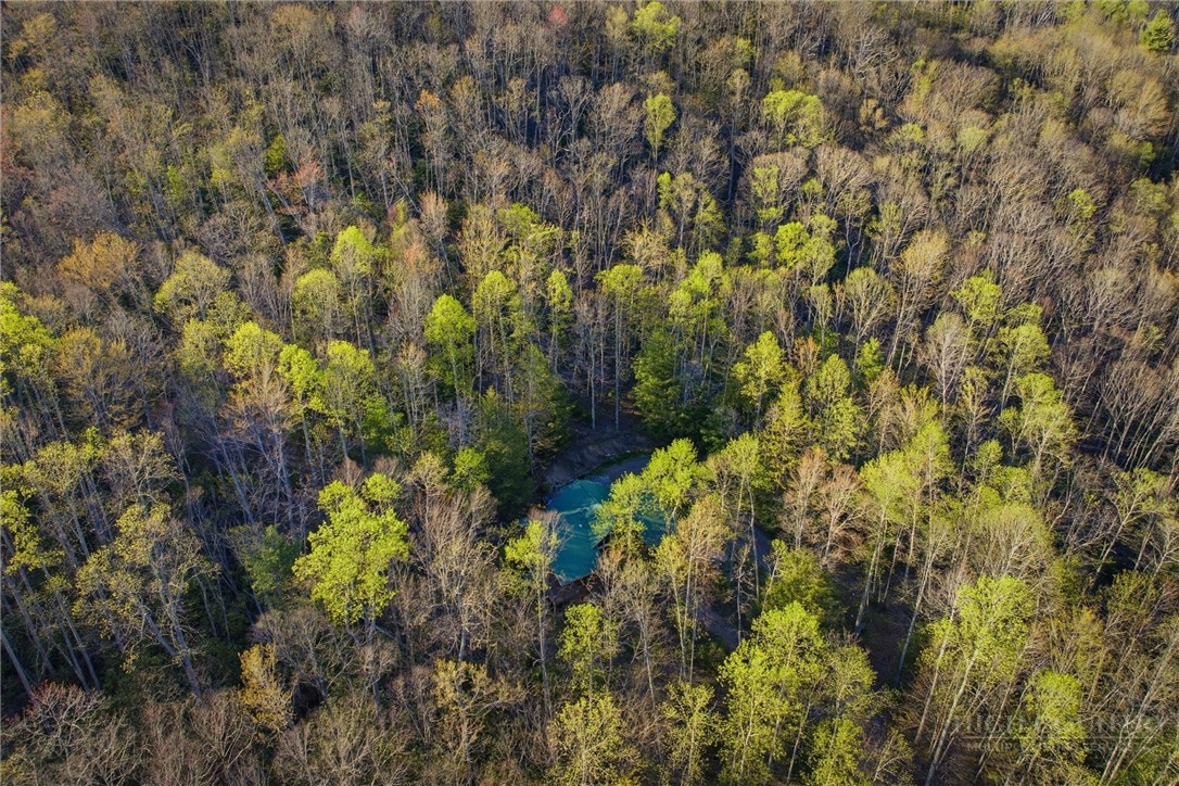 163 Bear Track Lane Property Photo 15
