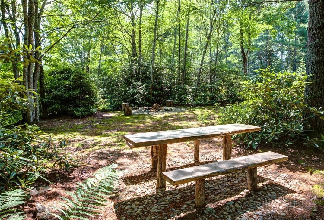 3434 Old Jonas Ridge Road Property Photo 26