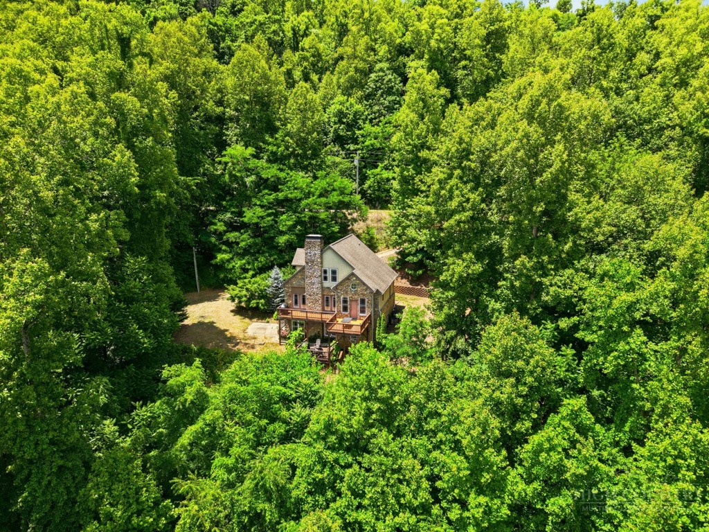 255 Treadway Ridge Road Property Photo 3