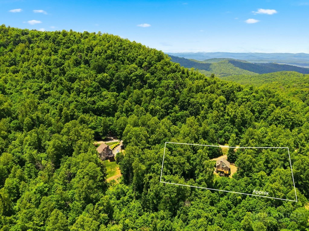 255 Treadway Ridge Road Property Photo 48