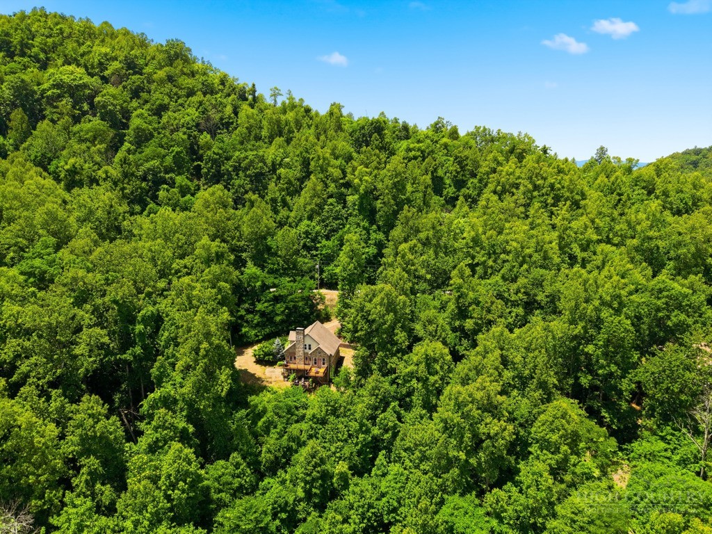 255 Treadway Ridge Road Property Photo 50