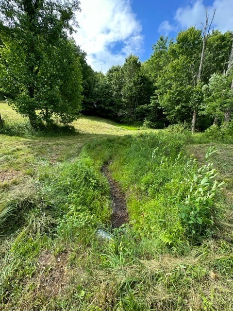 Tbd Comers Rock Rd. Property Photo 3