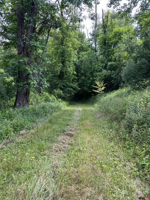 Tbd Comers Rock Rd. Property Photo 7