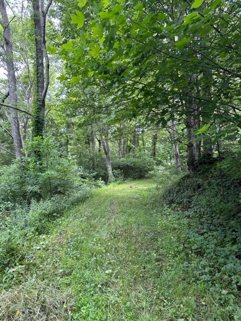 Tbd Comers Rock Rd. Property Photo 8