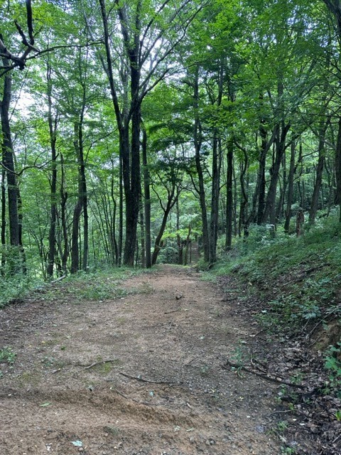 Tbd Comers Rock Rd. Property Photo 9