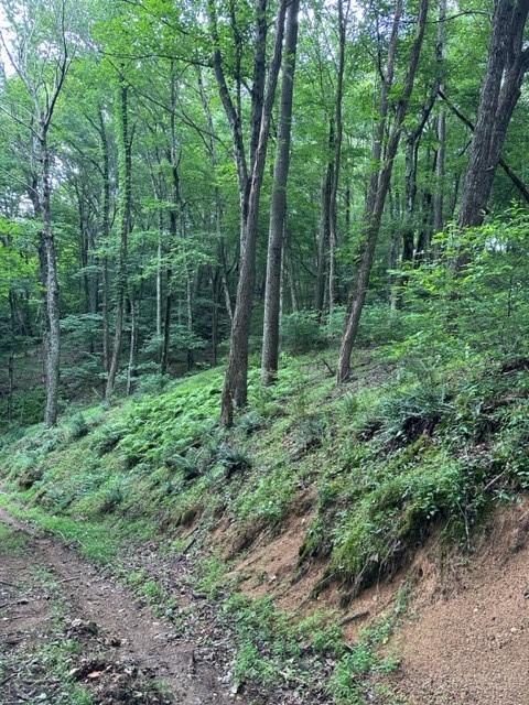 Tbd Comers Rock Rd. Property Photo 10