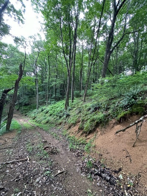 Tbd Comers Rock Rd. Property Photo 12