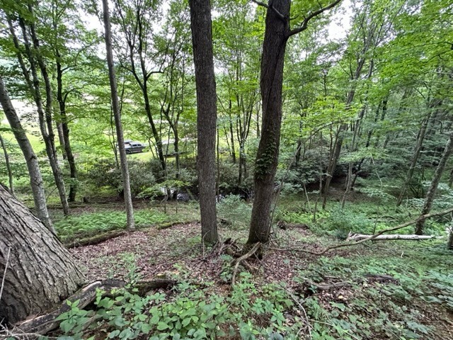 Tbd Comers Rock Rd. Property Photo 13