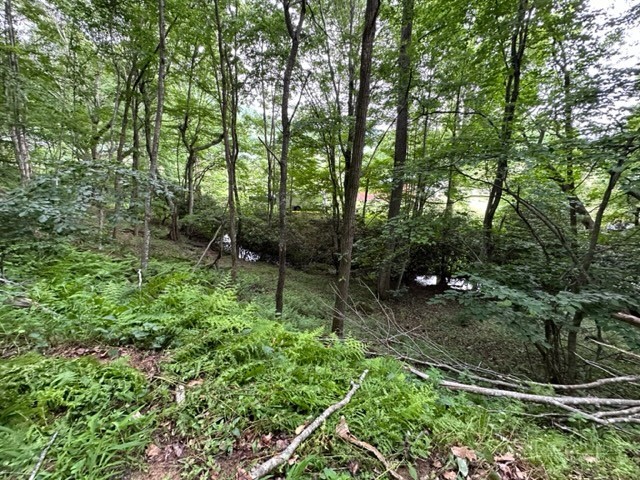 Tbd Comers Rock Rd. Property Photo 14