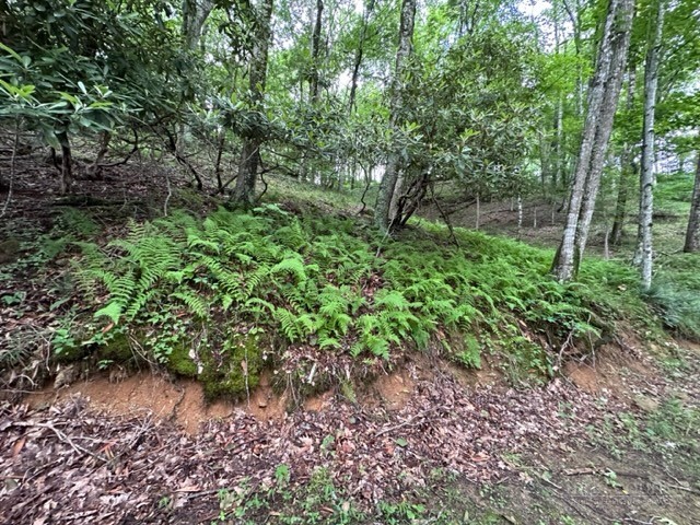 Tbd Comers Rock Rd. Property Photo 15